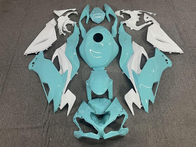 Acqua 19-23 ZX6R Carena Acqua 19-23 ZX6R Carena