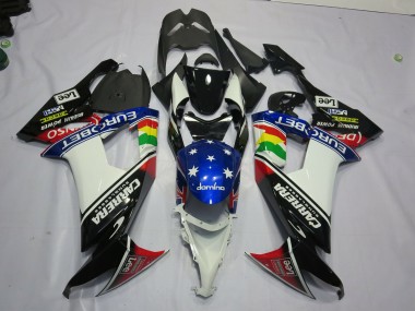 Carrera 08-10 ZX10R Carena