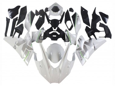 Carena Moto Kawasaki Ninja H2 2015-2022 - Bianco Argento Verde