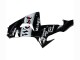 Carena Moto Kawasaki ZX10R 2006-2007 - Nero Lucido Bianco West