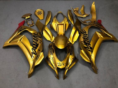 Oro 16-19 ZX10R Carena