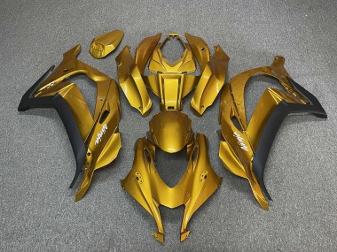 Oro Con Ninja White 16-19 ZX10R Carena