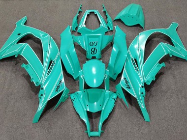 Speciale Blu Personalizzato 11-15 ZX10R Carena